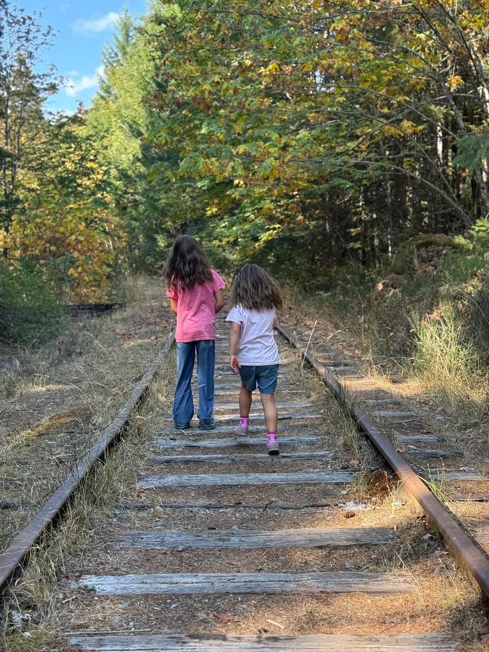 Lili und Alina gehen gemeinsam eine Treppe auf einem Waldweg hinauf